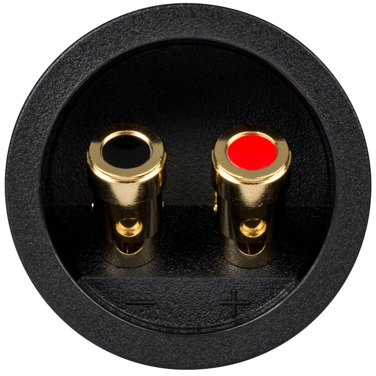 Pressfit Speaker Wire Terminal Cup 21/4" Gold SpringLoaded